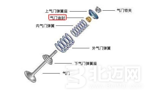 气门油封