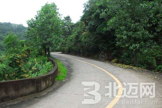 山路安全驾驶