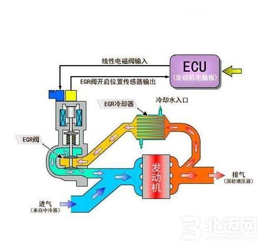 ERG冷却器.jpg